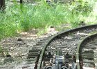 2014.06.18 Zahnradbahn in Griechenland Diakopto–Kalavryta (113)